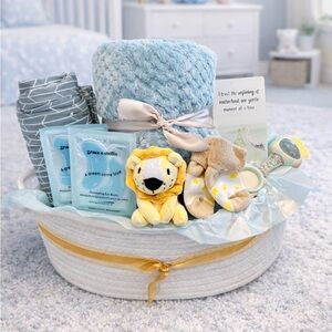 Luxury Newborn Baby Boy Gift Basket Baby Shower Gift Set for New Parents